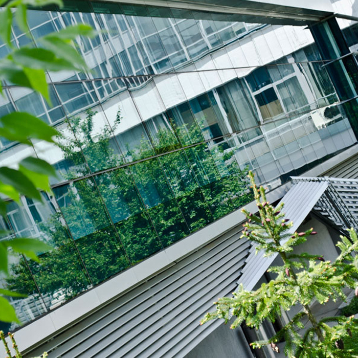 dsc0084-copy_700x700_crop_478b24840a